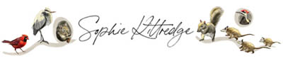 Sophie Kittredge Logo
